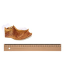 Hondensnacks Buffel kophuid 100% natuurlijk  150 Gram