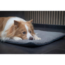 Honden kussen  JV BROOKLYN Benchkussens Grijs