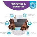 Honden speelgoed Honden speeltjes Hondenspel  Nina ottosson hondenspel pawn play