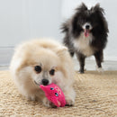 Honden speelgoed Kong Kong hond snuzzles mini pig XS