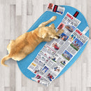 Honden speelgoed Kong hond daily newspaper xl