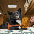 Honden Tuigen  Hurtta casual harnassen cinnamon