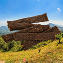 Canis Plus® Gedroogde vleesrepen Ree 100g