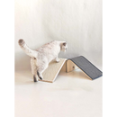 PetRebels Archie 38