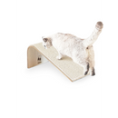 PetRebels Archie 38