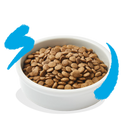 Kattenvoeding Katten brokjes  Edgard & Cooper Cat Adult Atlantic Salmon