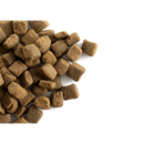 CaroCroc High Energy 28/20