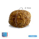 CaroCroc Puppy 28/18