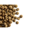 CaroCroc Low Energy 22/8