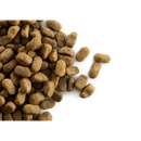 CaroCroc Original 23/12