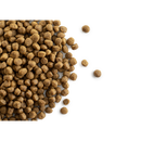 CaroCroc Puppy 28/18