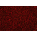 Aquarium Vissenvoer Tetra Pro Colour