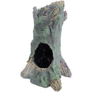 Aquarium decoratie Boon aqua deco ornament polyresin boomstronk hoog met gat, 25x25x36 cm.
