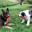 Hondenspeelgoed Kong signature crunch rope singlessen