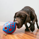 Kong hond Rewards wally, medium/large.