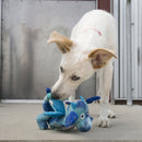 Kong hond Knots Dragon