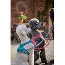 Honden Tuigen Hurtta Weekend Warrior harnassen peacock