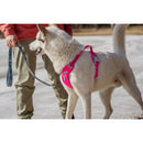 Honden Tuigen Hurtta Weekend Warrior harnassen Eco Rugby