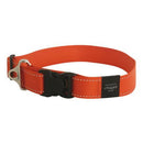 Rogz Landing strip halsband Oranje XXL 50-80 Cm - Dierplezier.nl