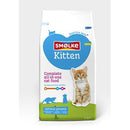 Smolke Kat Kitten