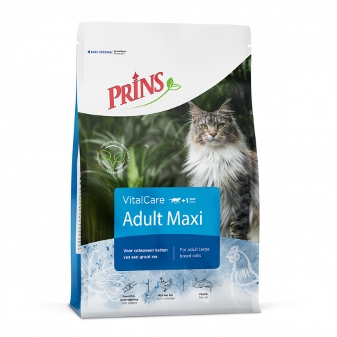 Prins Cat Maxi adult