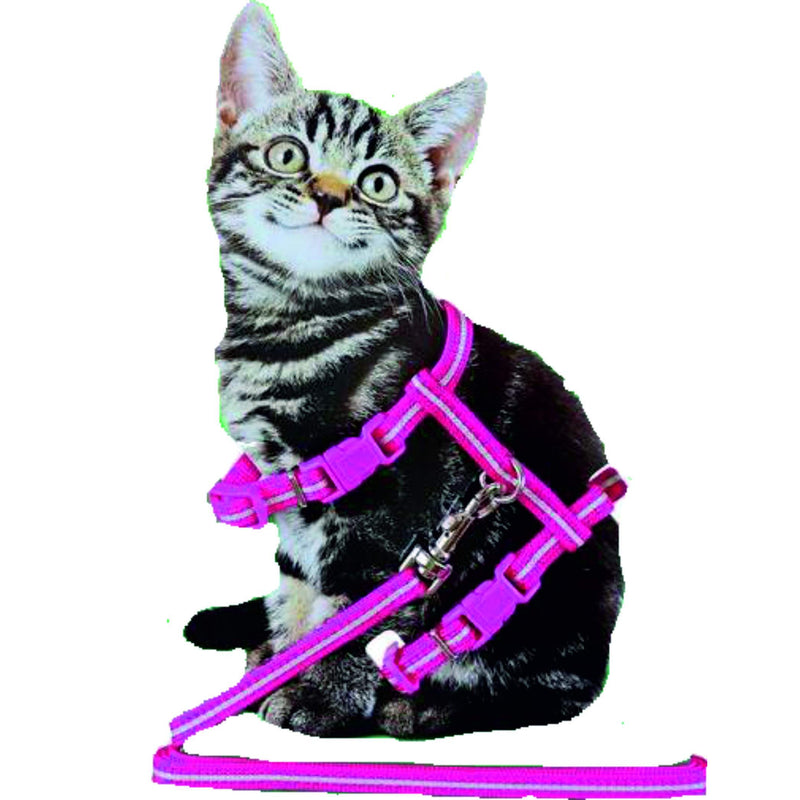 Katten tuig Boon Kittentuig nylon met lijn neon, roze reflecterend