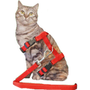 Katten tuig Boon Volwassen Nylon kattentuig met lijn, rood.
