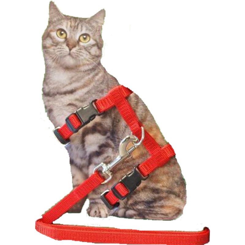 Katten tuig Boon Volwassen Nylon kattentuig met lijn, rood.