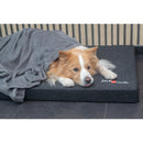 Honden kussen/deken JV Cocoon deken Antraciet- 130cmx170cm