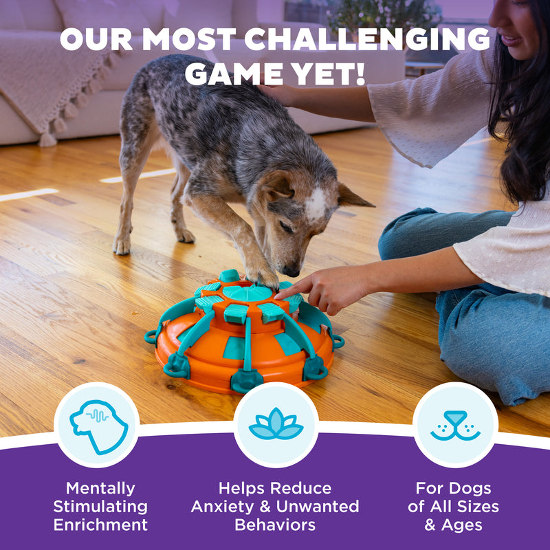 Honden speelgoed Honden speeltjes Nina ottosson hondenspel tower of treats