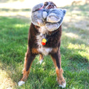 Honden speelgoed speeltjes Pluche Kong hond toughz bunny medium