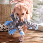Honden speelgoed Kong hond Kong hond shakers crumples elephant xl