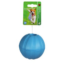 Water speelgoed Boon apporteerbal EVA drijvend + gat blauw 9cm