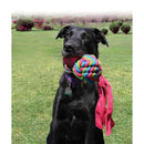 Honden speelgoed Kong Wubba Weaves