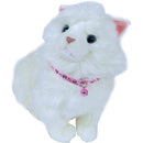 Katten halsbanden  Volwassen Boon Kattenhalsband nylon hartje, roze