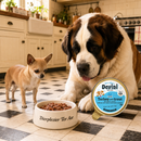 Honden voeding maaltijd Kalkoen & Forel voor Honden 85 g