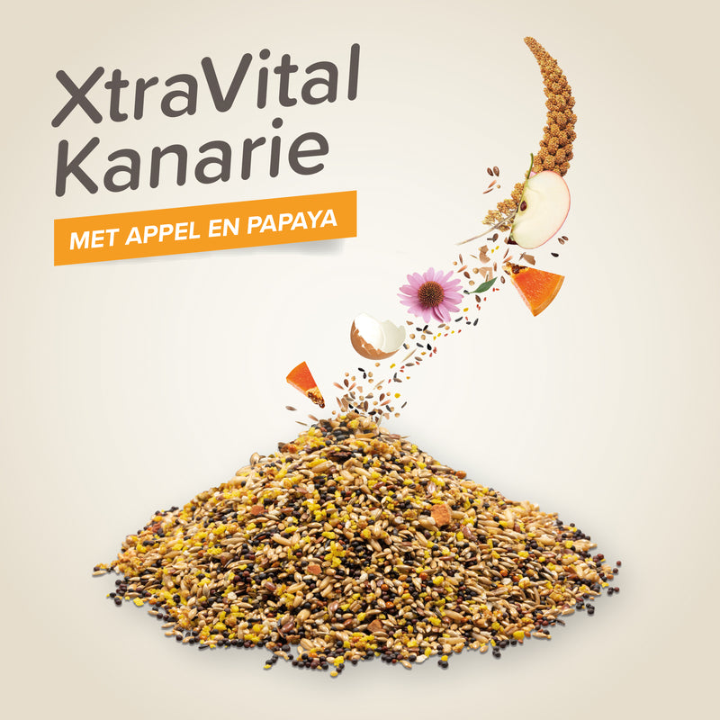 Vogelvoeding Xtra Vital Kanarievoer 500 gram
