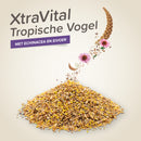 Vogelvoeding Beaphar XtraVital tropische vogel 500g