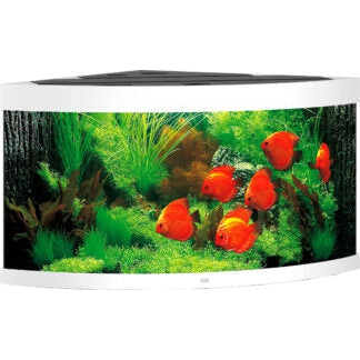 Aquarium Juwel aquarium Trigon 350 LED wit met filter