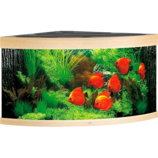 Aquarium Juwel aquarium Trigon 350 LED eiken met filter
