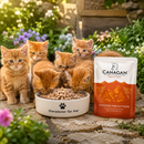 Canagan voeding Pouches maaltijden  Kitten