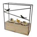 Vogelhuis Buitenvogel  Wintervogelhuis Vogeltaart met vogeltjes