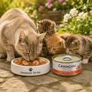 Canagan voeding Kitten en volwassen katten blik tonijn & Garnalen 75 Gr