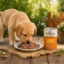 Honden voeding Canagan blik Puppy Feast