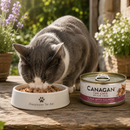 Canagan voeding Kitten en volwassen  katten blik Tonijn & Zalm  75 Gram