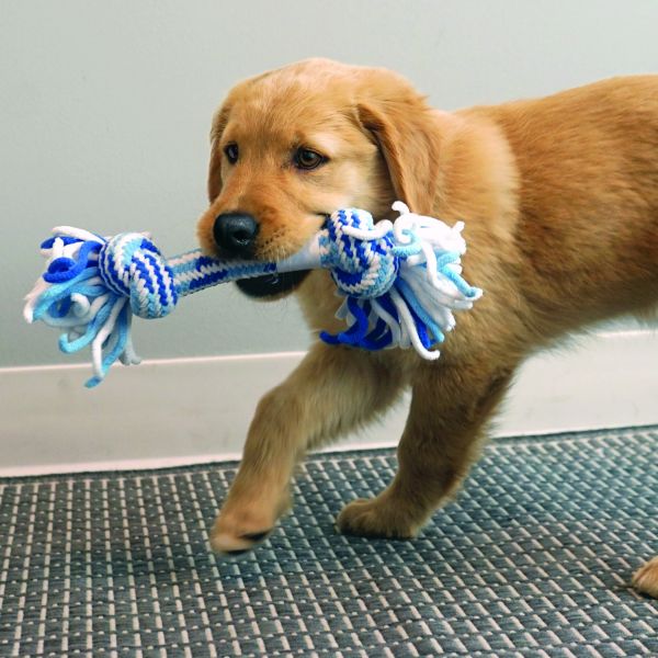 Honden speelgoed Kong puppy rope tug medium 30 cm