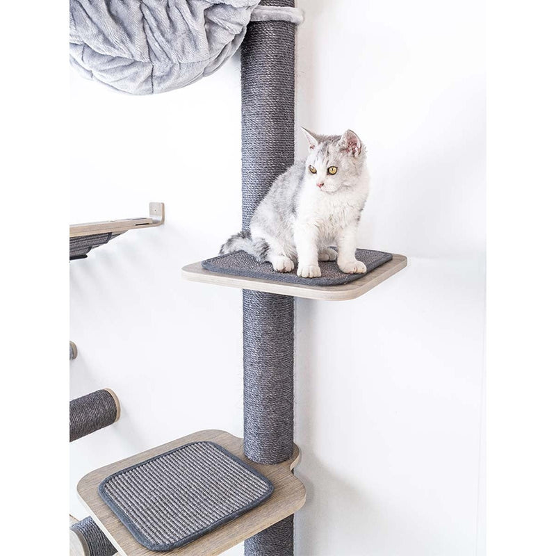 PetRebels Kattenmuur Level 35