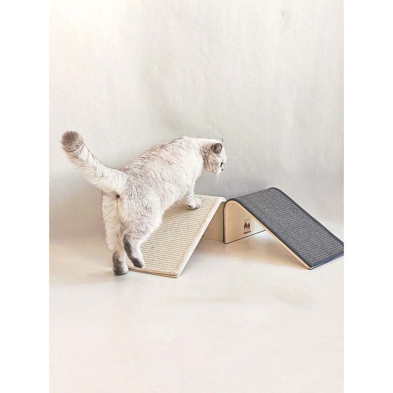 PetRebels Archie 38