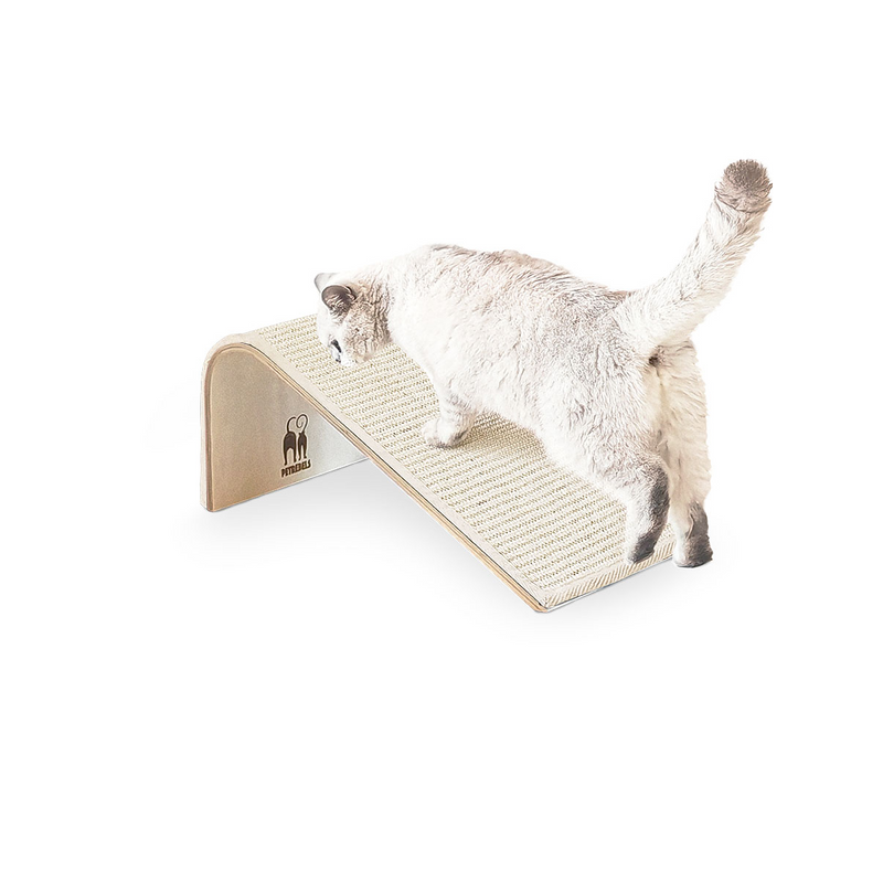 PetRebels Archie 38