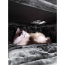 PetRebels Boulder 117